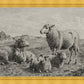 The Lamb of God