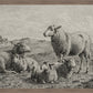 The Lamb of God