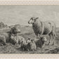 The Lamb of God