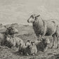 The Lamb of God