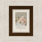Pink Roses