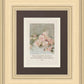 Pink Roses