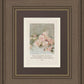 Pink Roses