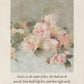 Pink Roses