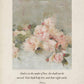 Pink Roses