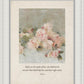 Pink Roses