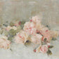 Pink Roses