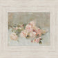 Pink Roses
