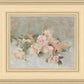 Pink Roses
