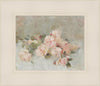 Pink Roses
