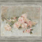 Pink Roses