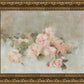 Pink Roses