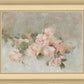 Pink Roses