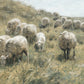 In Green Pastures