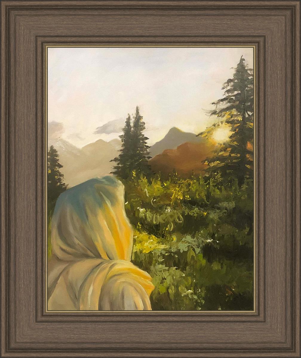 Look to the Light