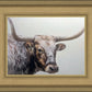 Longhorn