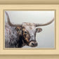 Longhorn