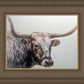 Longhorn