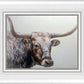 Longhorn