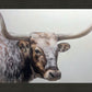 Longhorn