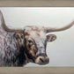 Longhorn