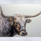 Longhorn