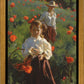 Poppies
