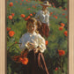 Poppies