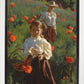 Poppies