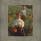 Poppies
