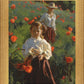 Poppies