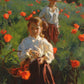 Poppies