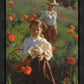 Poppies