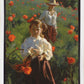 Poppies