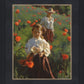 Poppies