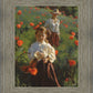 Poppies