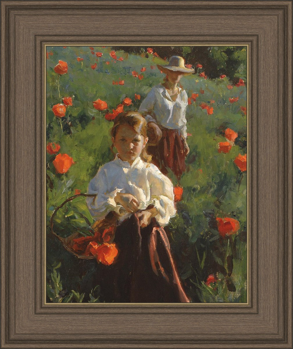 Poppies