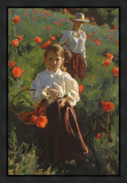 Poppies