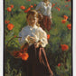 Poppies