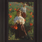 Poppies
