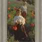 Poppies