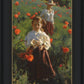 Poppies
