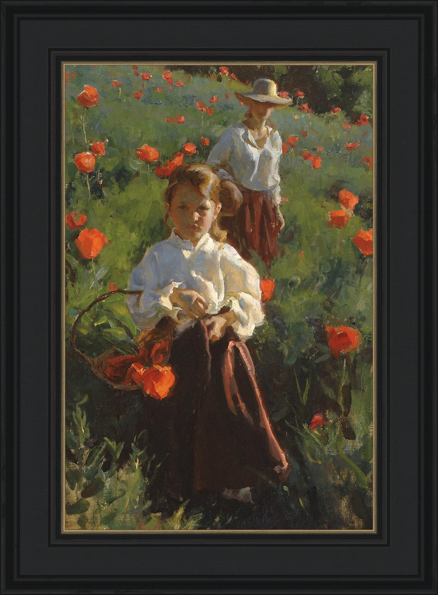 Poppies