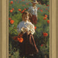 Poppies