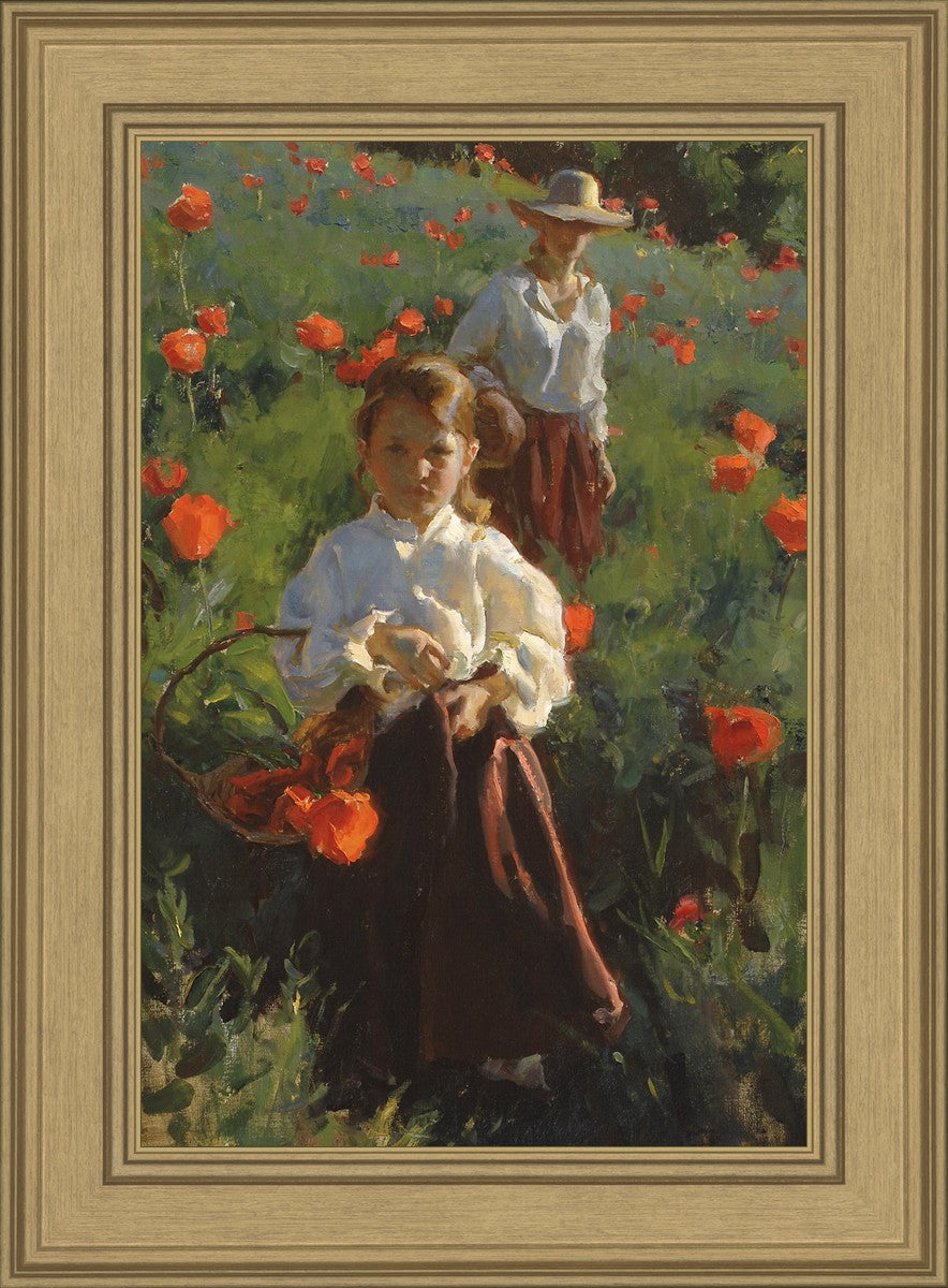 Poppies
