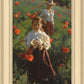 Poppies