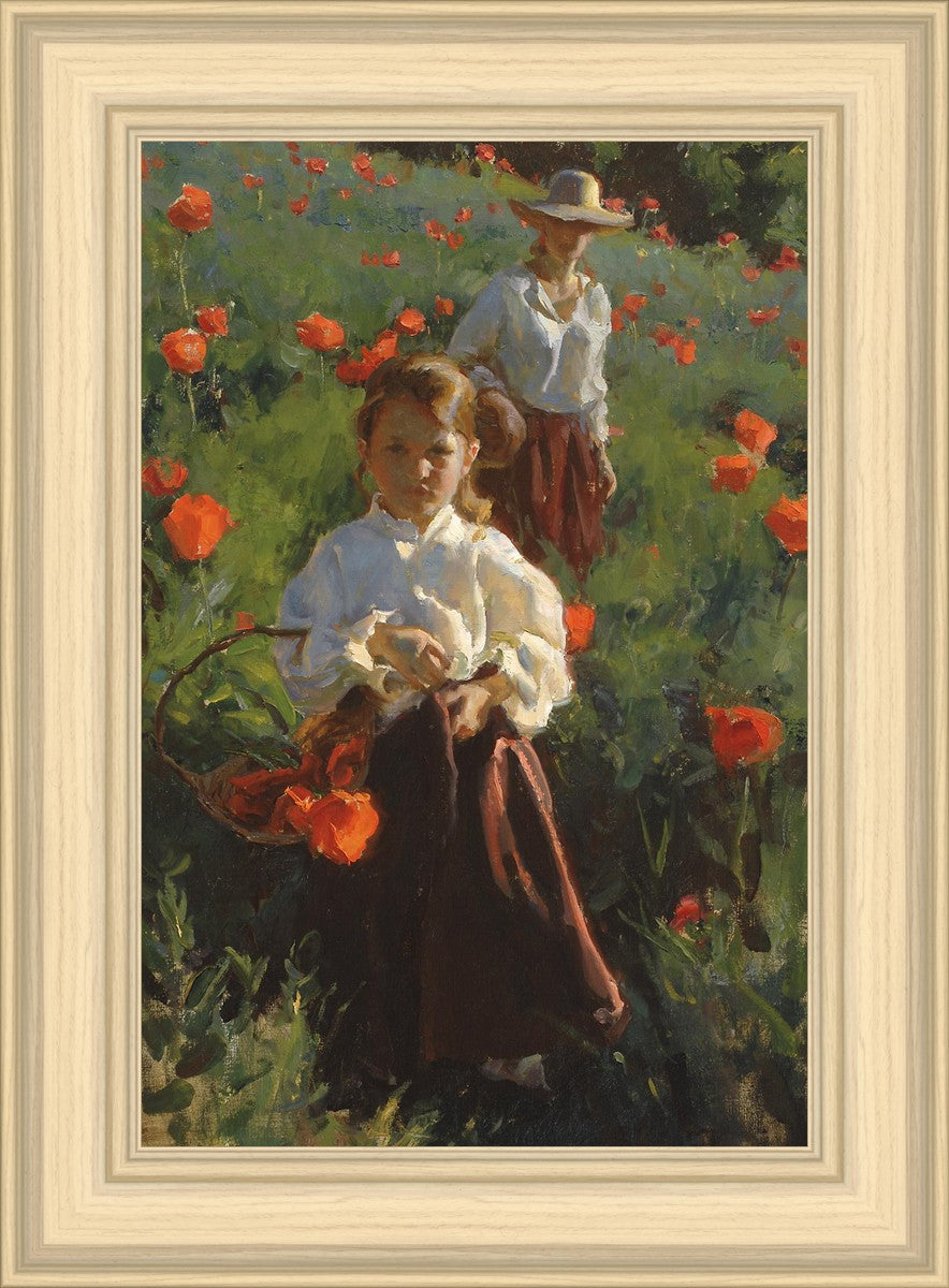 Poppies