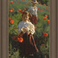 Poppies