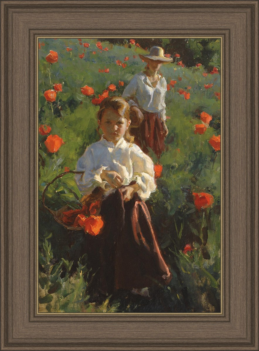Poppies