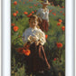 Poppies
